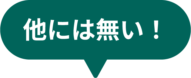 他には無い！