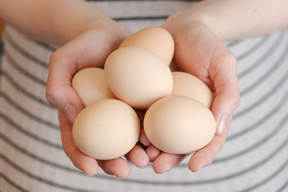 奈良県唯一のブランド卵「大和なでしこ卵」