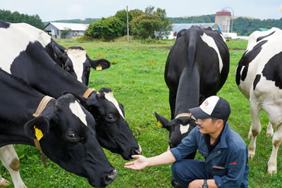 牧場を訪れた人と牧場で働く人や牛それぞれが直接触れ合える