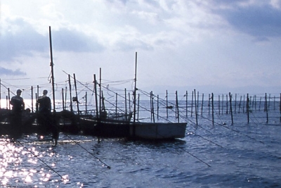 母なる琵琶湖。鮎や琵琶マスをはじめとした豊かな水産物が獲れる