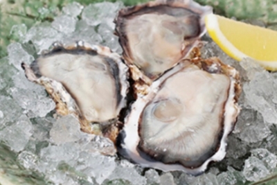 生食用「三重県産 桃こまち（殻付）」は旨み成分の強いブランド牡蠣