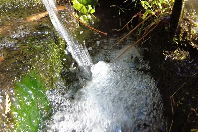 超軟水として有名な天然水医法山（いのりやま）の水を使用