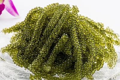 沖縄県産（生）海ぶどう