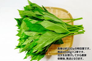 八丈明日葉新芽 500g×2束（送料、チルド料金実費請求）