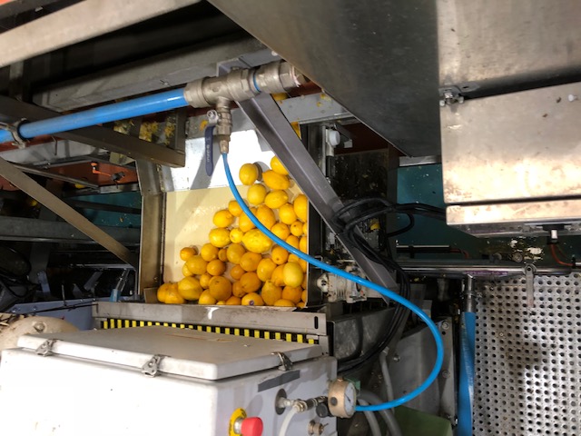 2. 熱を加えない純粋な抽出と無添加の保証。