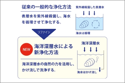 取り込む海水がキレイなら、牡蠣もキレイになれる。