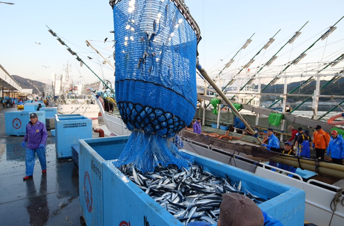 三陸の美味しい恵みを届ける