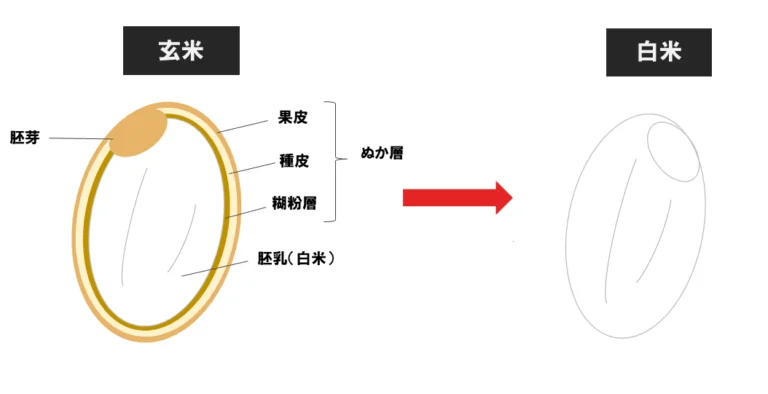 MyPR画像