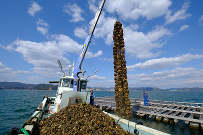 瀬戸内海の豊かさを守る