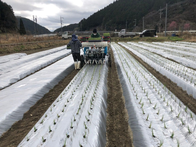 MyPR画像