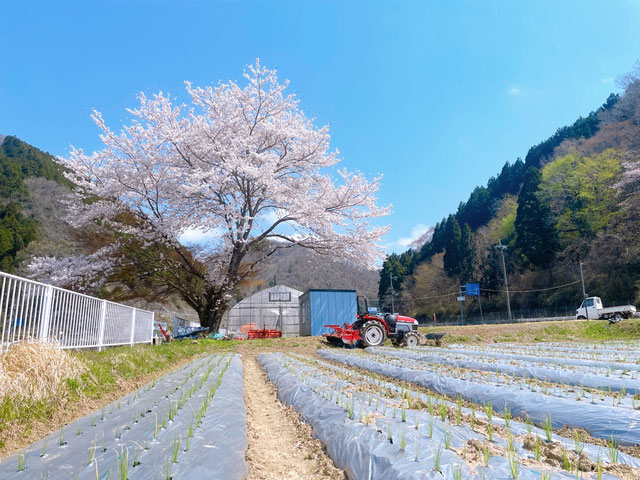 MyPR画像