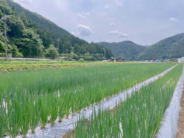 MyPR画像