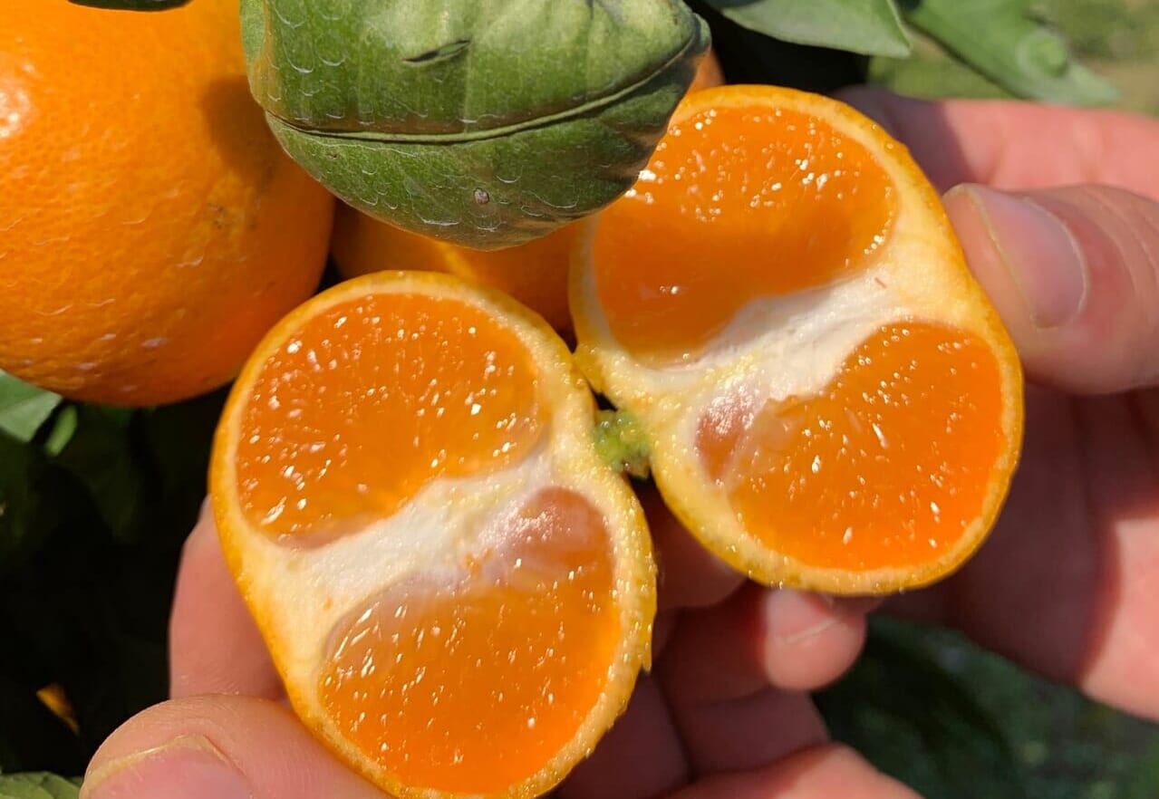 MyPR画像