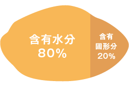 原料じゃがいもの特徴