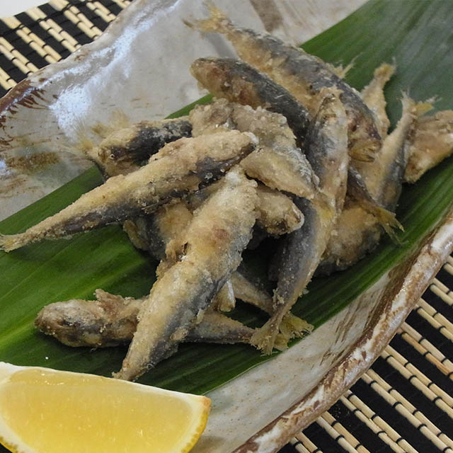 MyPR画像