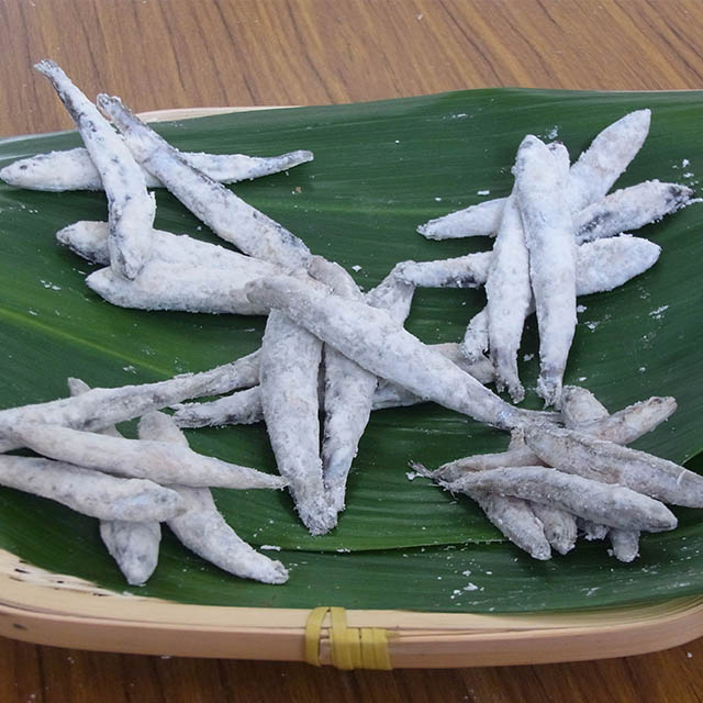 MyPR画像