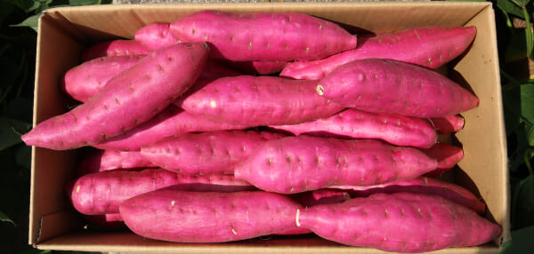 豊富なミネラル