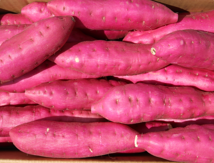 吉岡さんちのなると金時