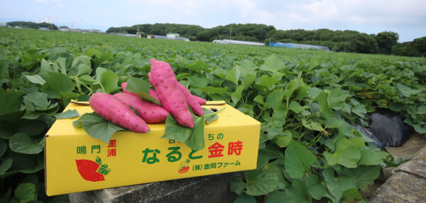 徹底した品質管理