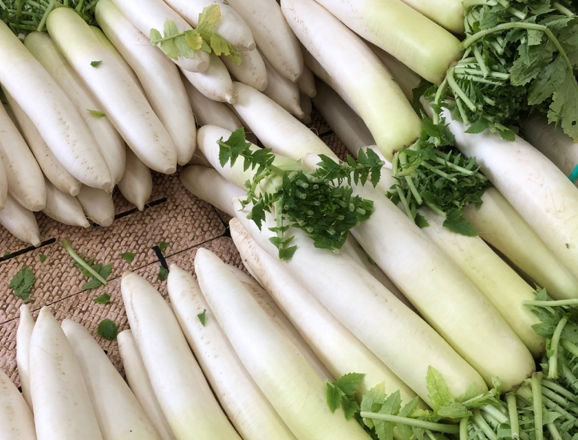 吉岡さんちのだいこん