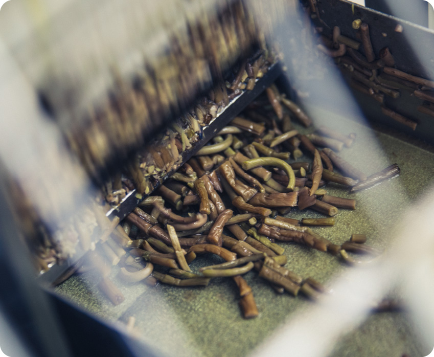 食品原材料の販売