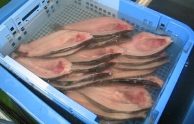 MyPR画像