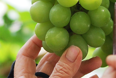 お菓子製造への想い