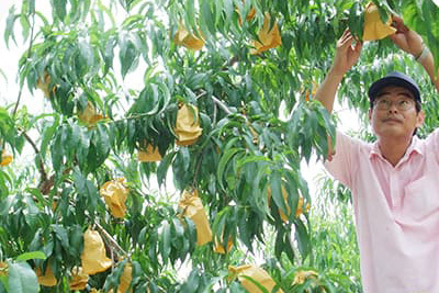 生産者への想い