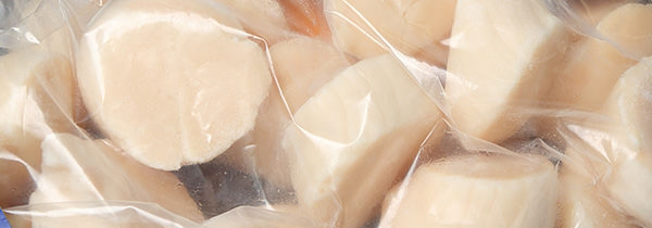 貝類 約35種類!
