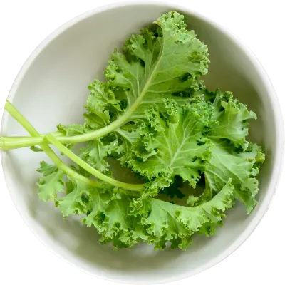 ケール粉末（九州産）