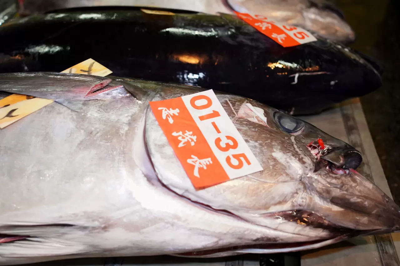 鮮魚グループ