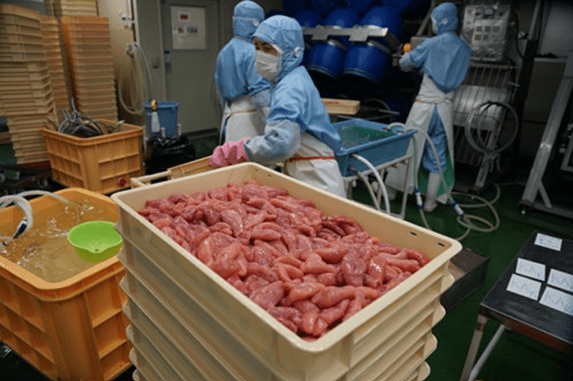 究極の鮮度感「生仕立て製法」