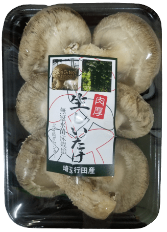 生椎茸《大サイズ　1個18～29ｇ》