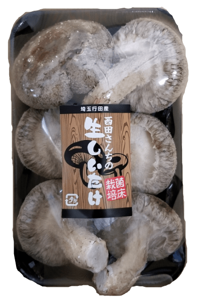 生椎茸《特大サイズ　1個30ｇ以上》