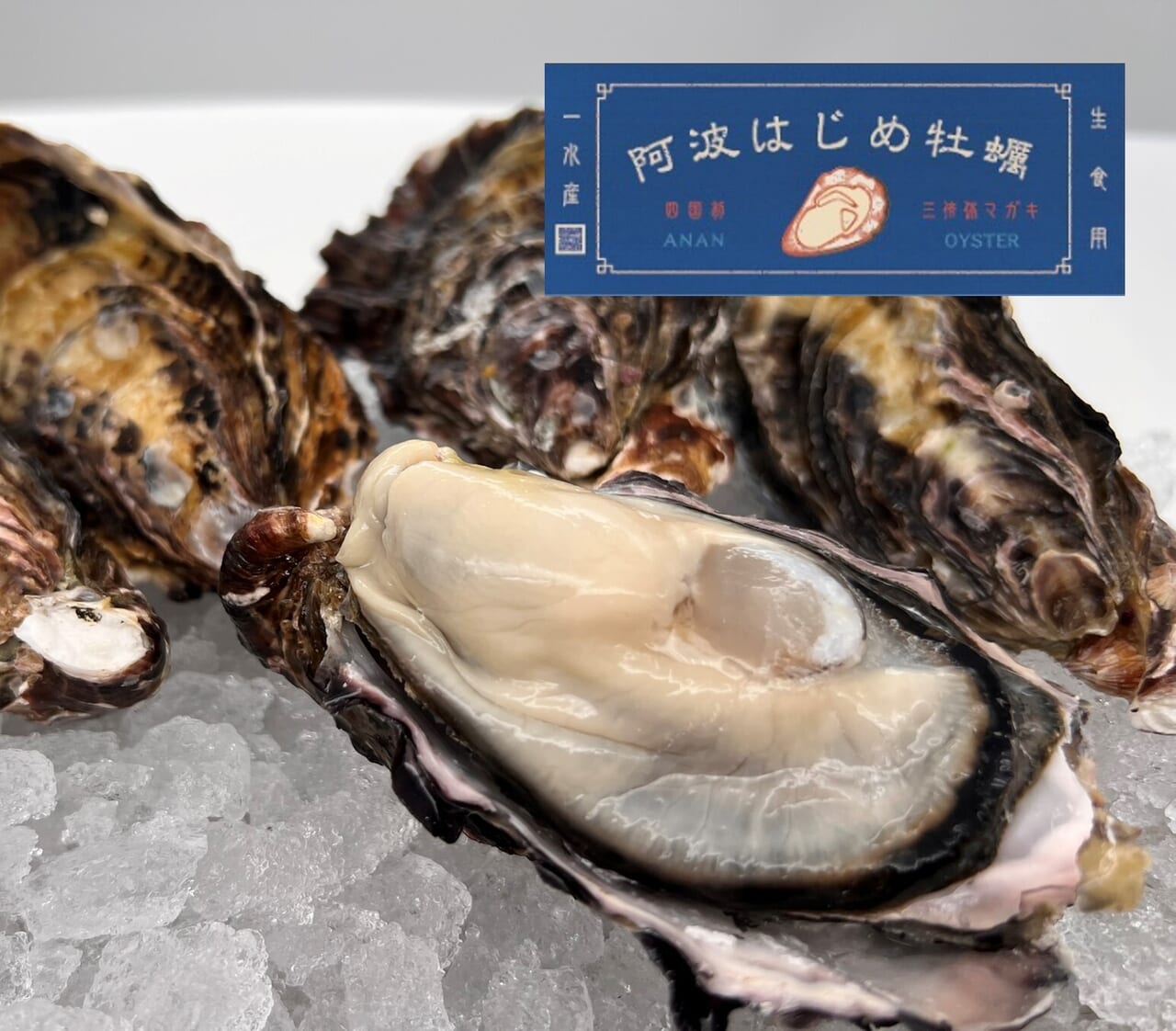 阿波はじめ牡蠣