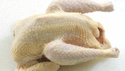 川俣シャモ 中抜き