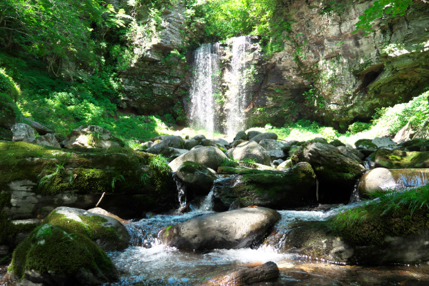 おいしい空気と 清らかな水