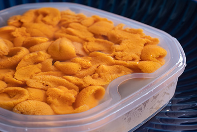 礼文産　キタムラサキウニ(塩水パック)　100g