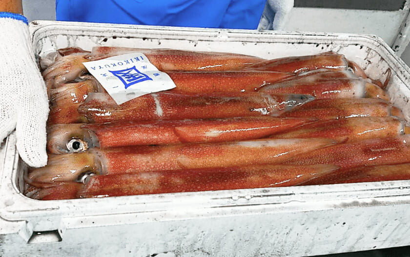 新鮮な魚介を 厳選しているから美味しい