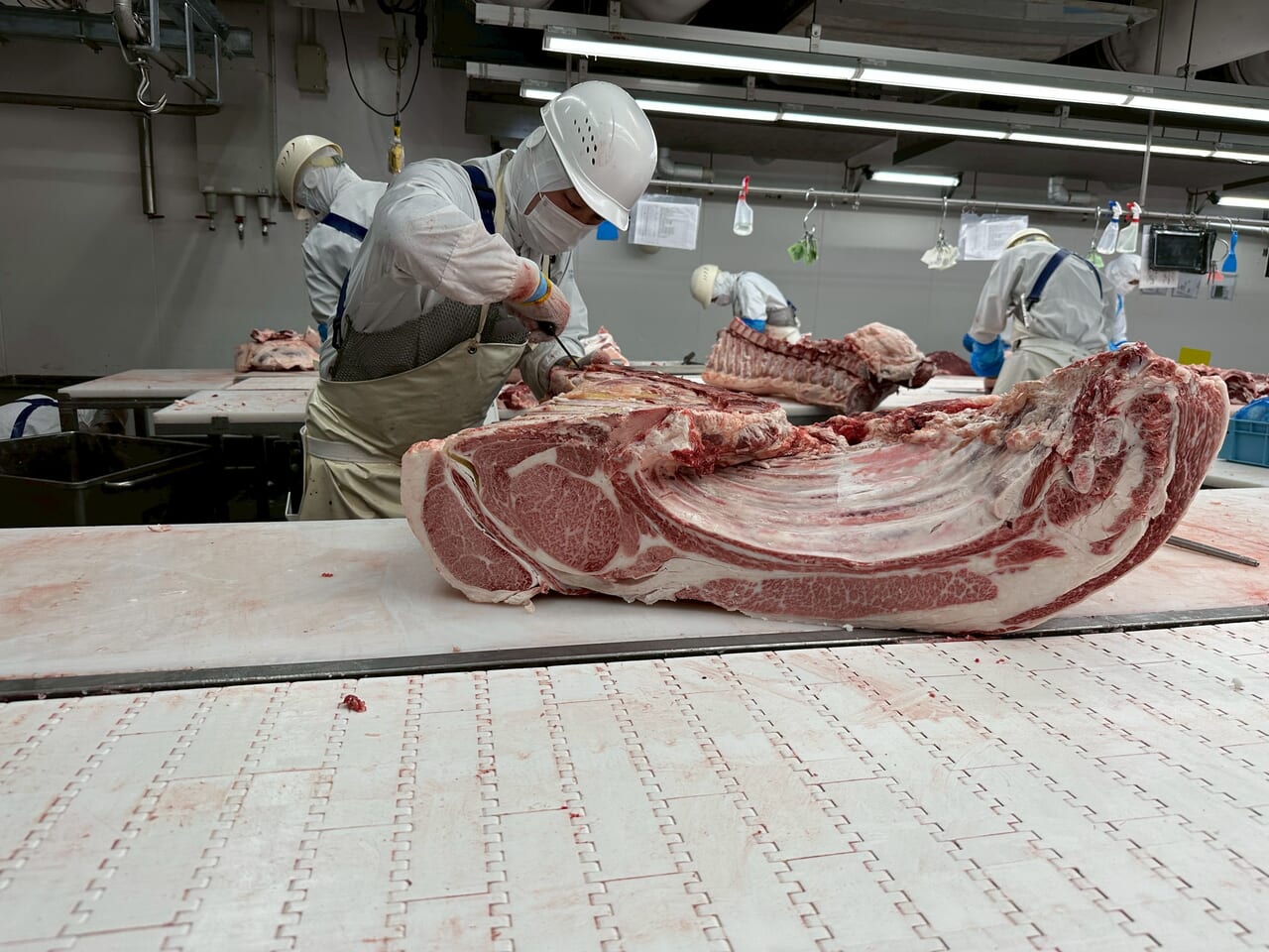 熟練の技術による柔軟な加工・カット対応