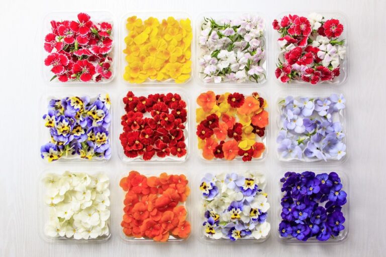 エディブルフラワー「SANOKA」