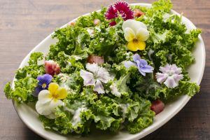 無農薬・高品質を追求したこだわり栽培