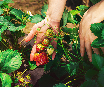季節に関係なく利用可能！