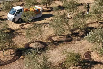 SDGsの実現に向けた循環型農業の取り組み