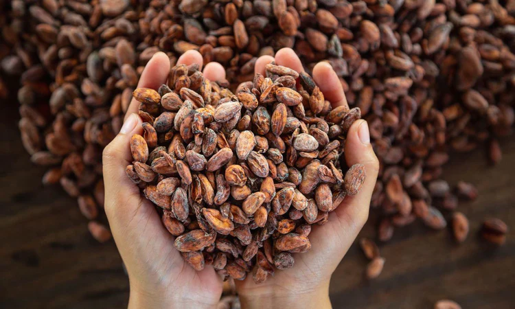 探求するチョコレート