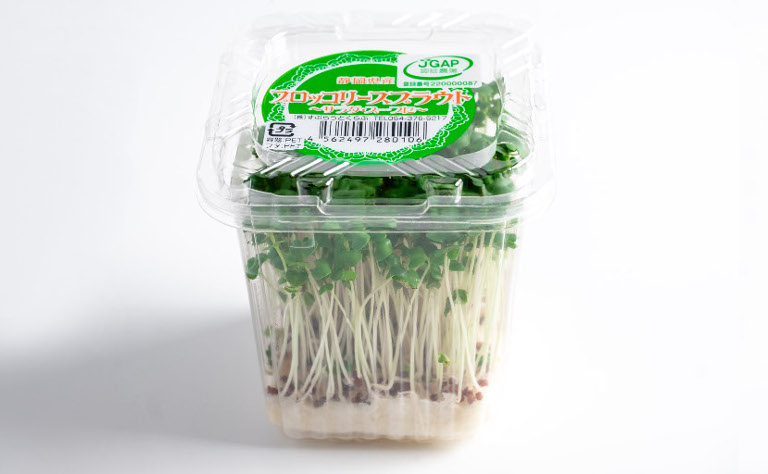 ブロッコリースプラウト