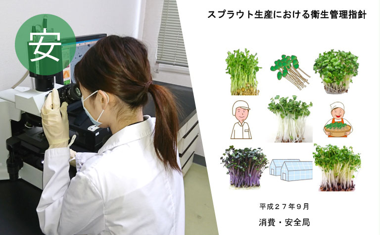 安心・安全への取り組み