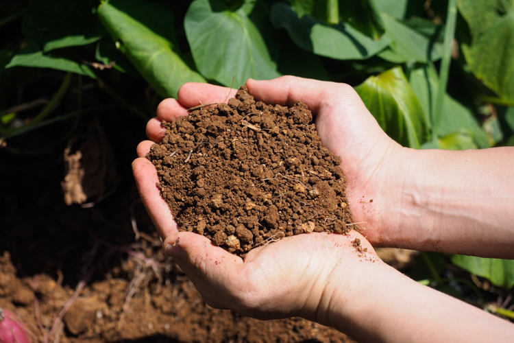 安心・安全にこだわる