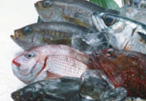 素材（原料）へのこだわり