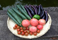 故郷へのこだわり